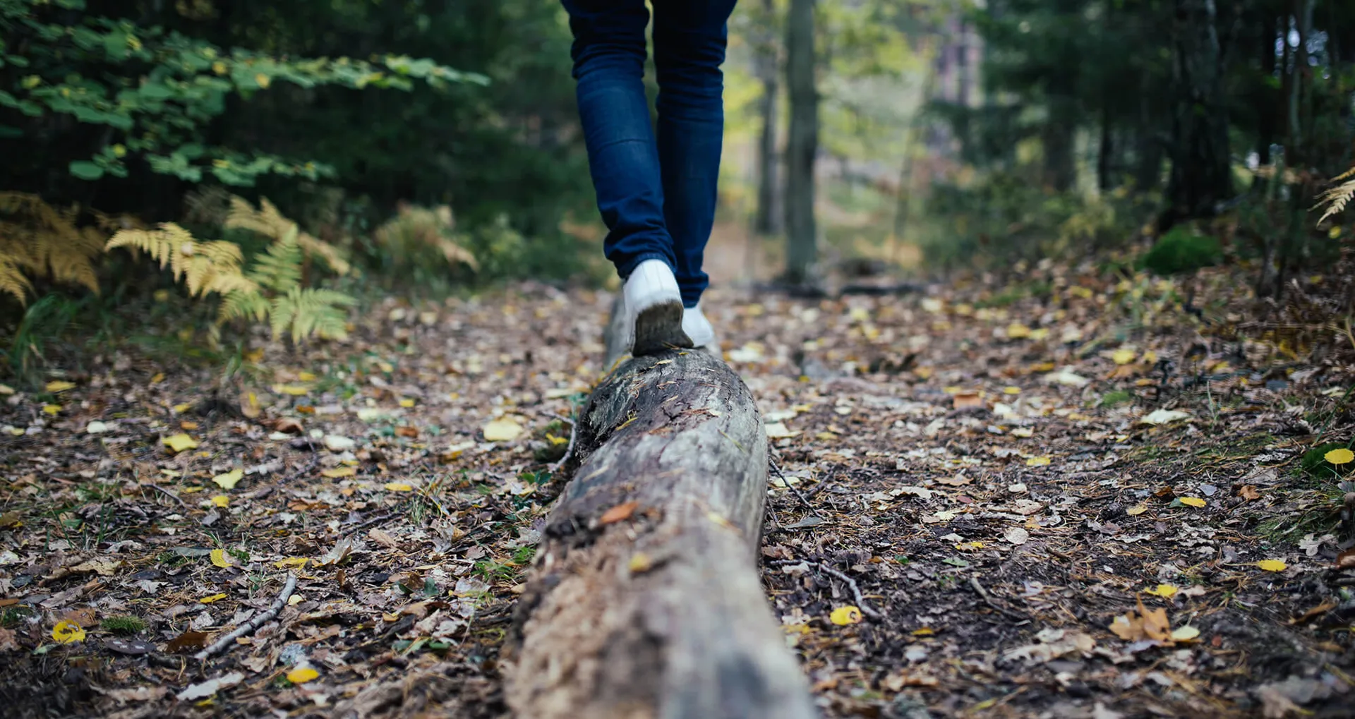 Natur und Außenbereich rund um Gut Hügle