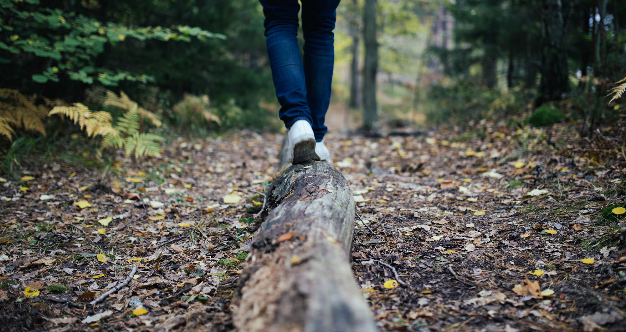 Natur und Außenbereich rund um Gut Hügle