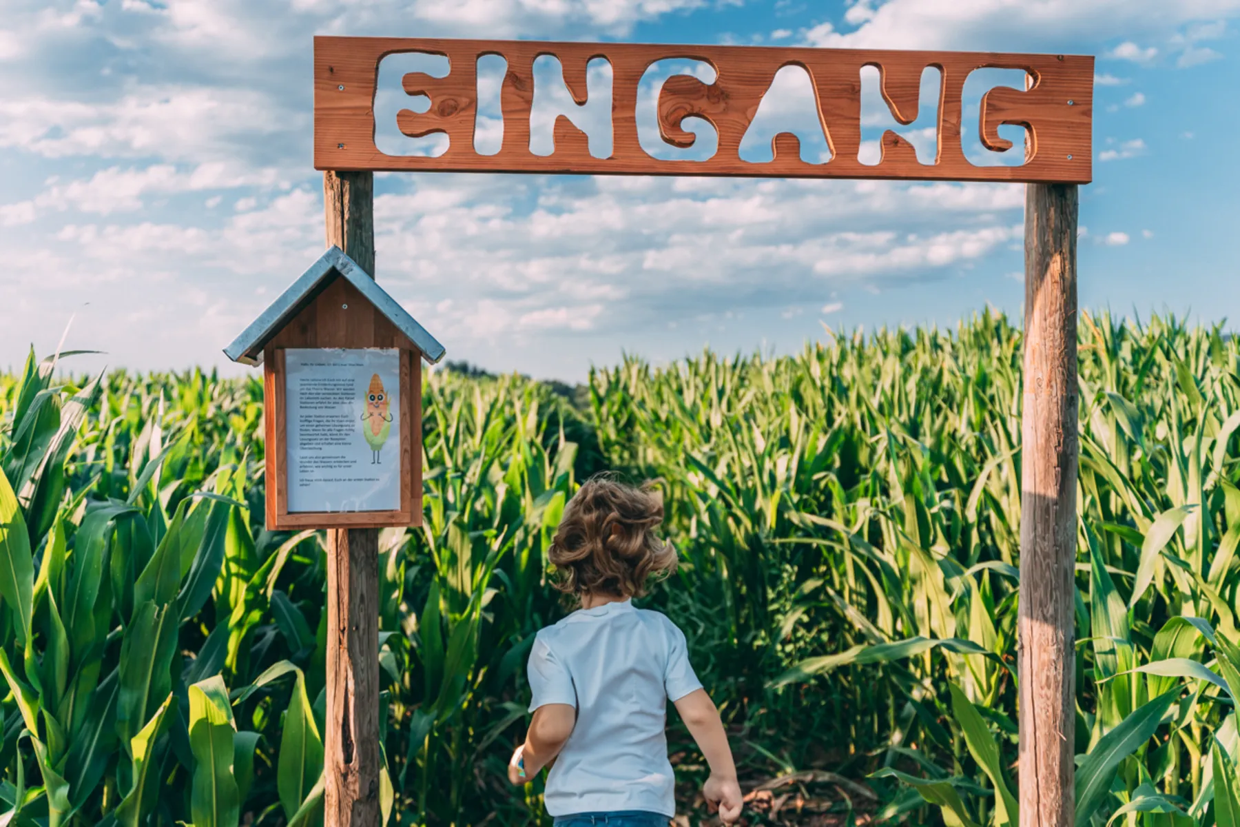 Maislabyrinth auf dem Gut Hügle Erlebnishof